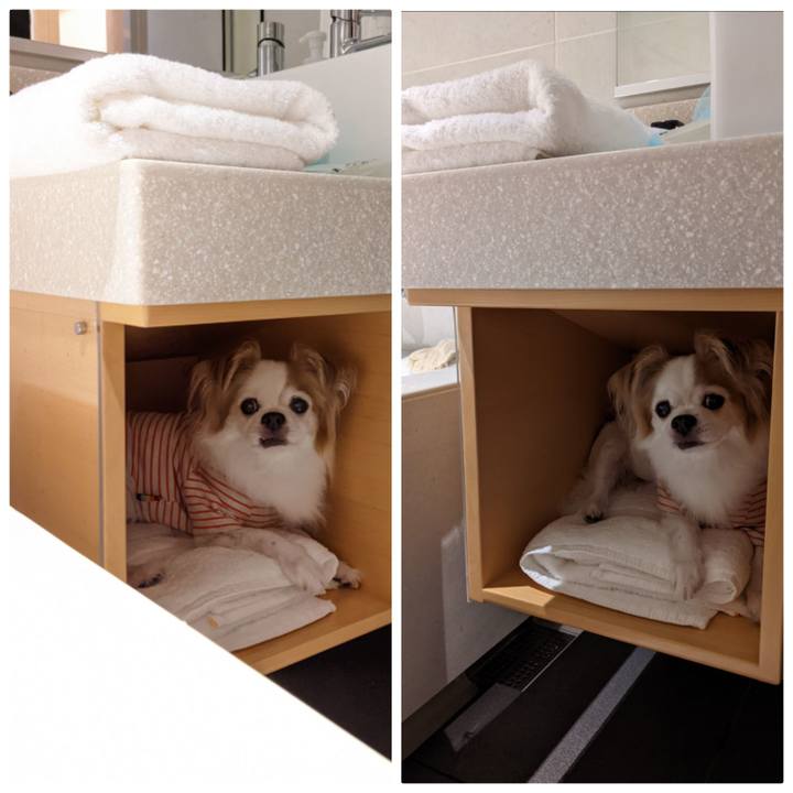 44444f2c f285 491e b2d6 8248b4bf2e76 1663605485880