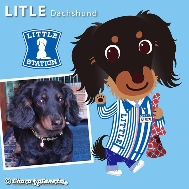 44445176 0bf1 4826 a753 5b41590a88ec 1559439531245