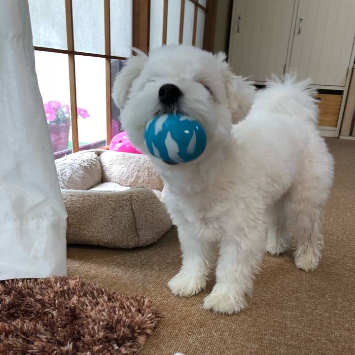 4444c232 5cf2 42e5 836d 26f2ad51a9d8 1529548504178