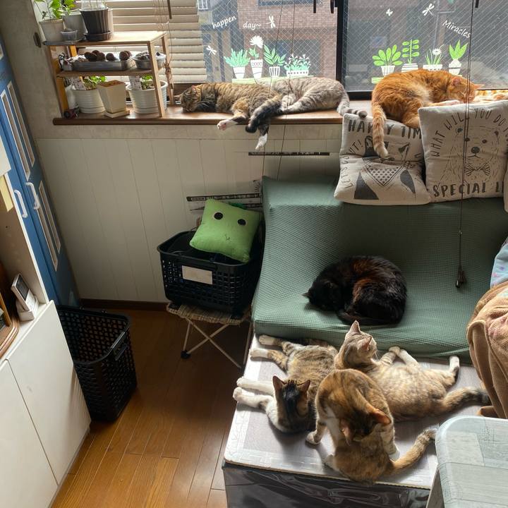 44453dbf 3cdd 490d 95d7 5062459eb128 1613312756737