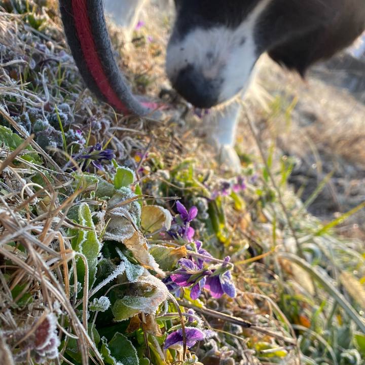 44454fbc 3078 422e a6db 00ba65559611 1643761031155