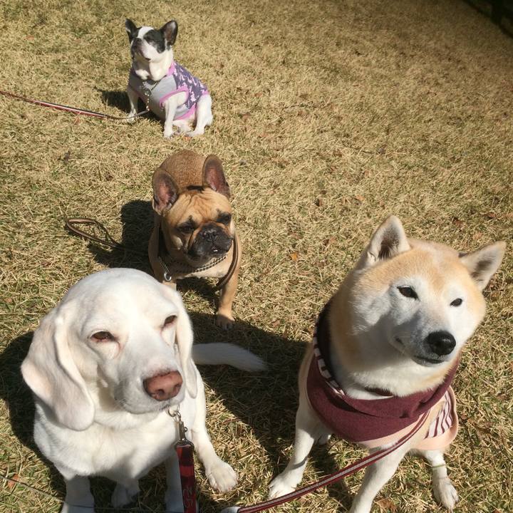 444562ed 95d5 459a b666 b998b95549b3 1582560036247