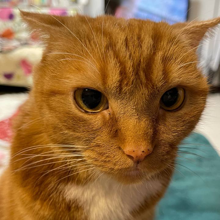 44458b63 b016 4424 b2da 6cf378be2f01 1652101449289