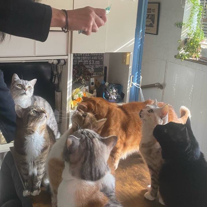 4445afd3 0fbb 4f71 81a3 afffb0c41949 1767151494516