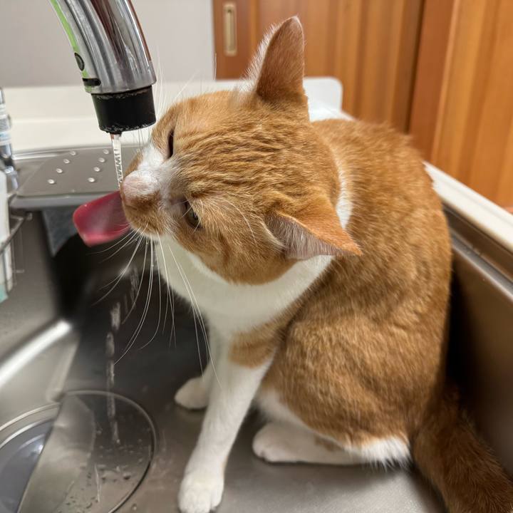 4445d9c9 9241 4d31 908e 4d185e3f438c 1760315785290