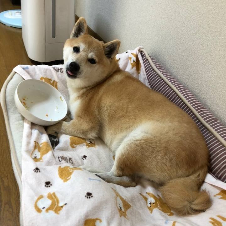 44461e27 def6 44a9 85a4 c1659b30841f 1558670081834