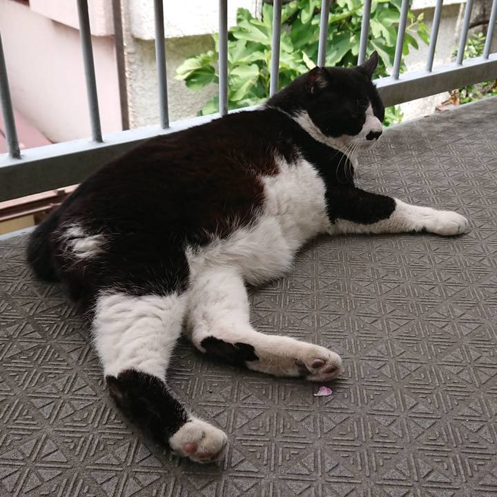 444672aa 3b8a 4f7f 8ec1 57885885b626 1559359530634