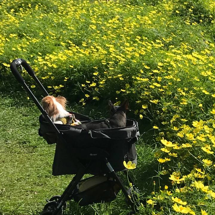 44467362 bb5b 4401 8464 aa9ada027411 1568548137120