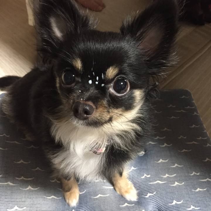 44469565 3989 406e 8af4 1afad1266cb0 1538518491808