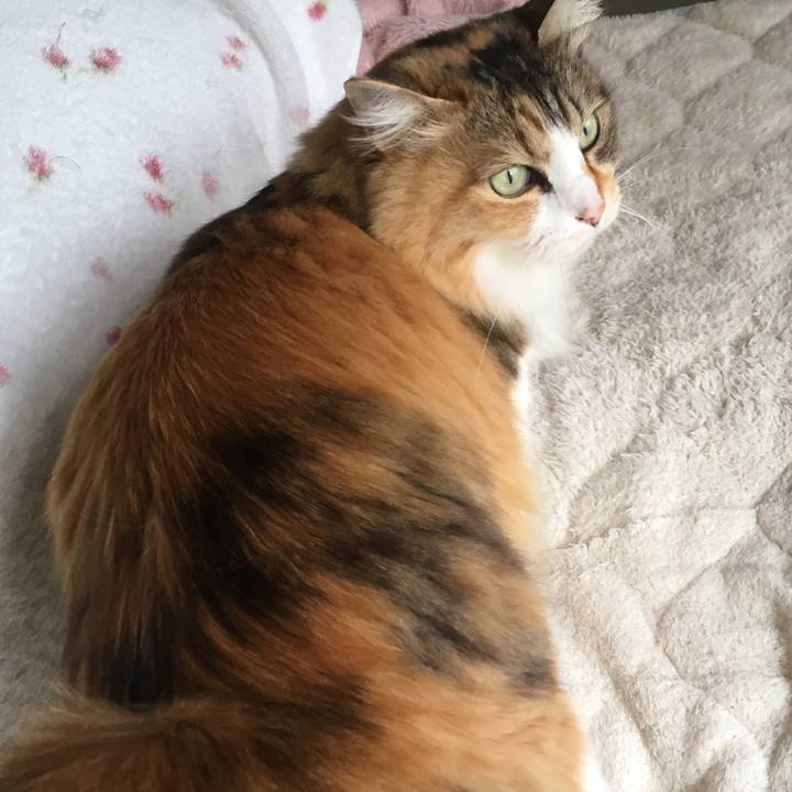 4446edb0 5d10 491e a332 7b713f7058ab 1556661062739