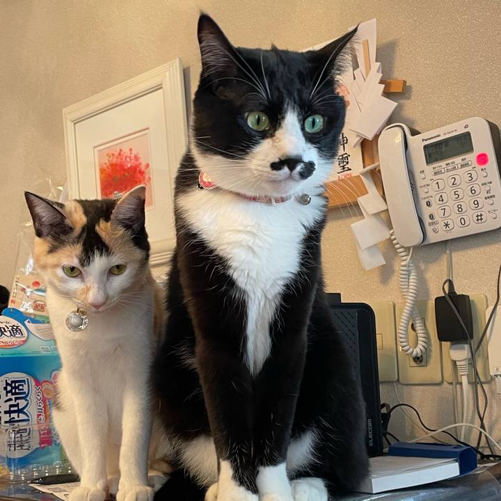 4446f766 07e0 48ad 9d1c 8f7091647a07 1679186861676