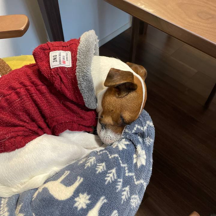 4447012a bcb1 4ac1 9541 b6881169588f 1642492310839