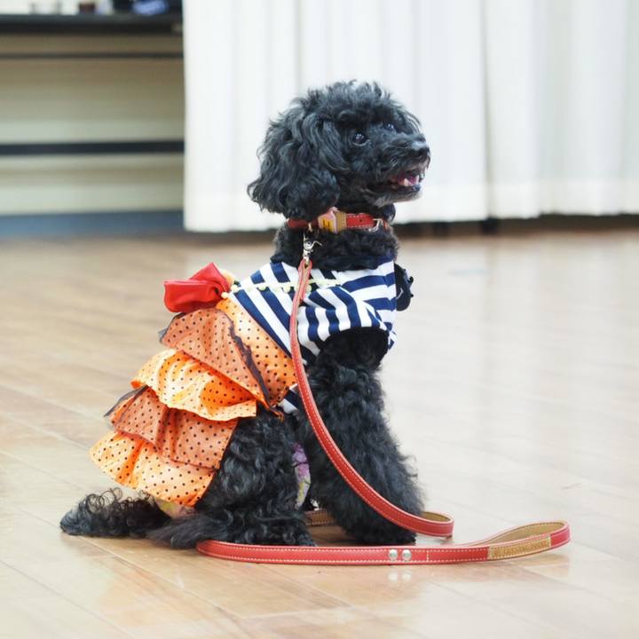 44473319 03aa 437f a69a eafc075cb1e6 1539348326985