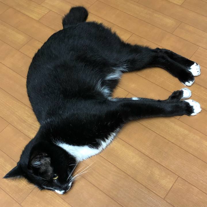 44479c59 354f 4c8d b210 98fb82663e01 1571110896340