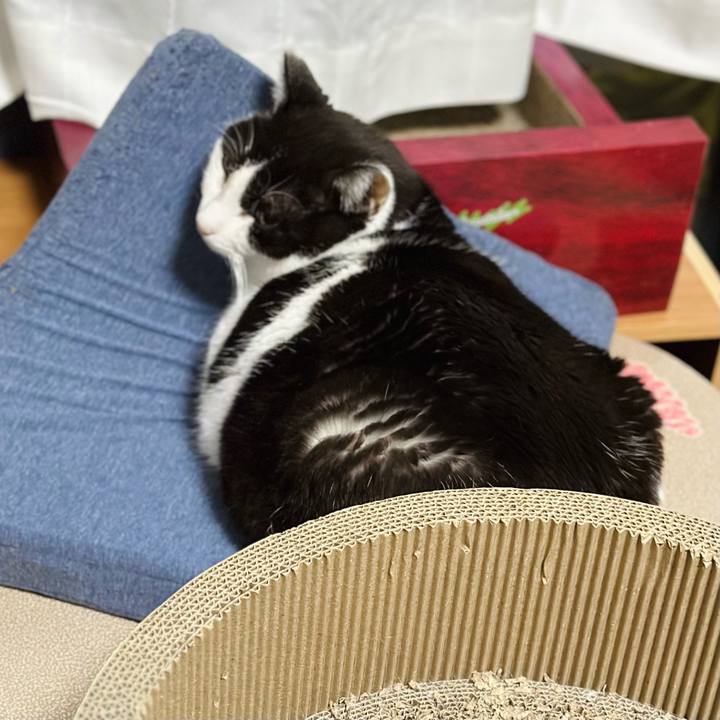 44480aac be29 4ece 8eff d9c0fb3d8344 1677982285849