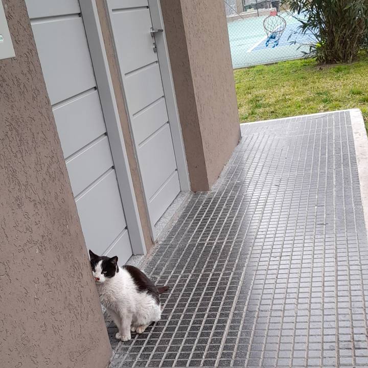 44480b87 b57c 47a1 a07e 87829d94bd4c 1755353221442