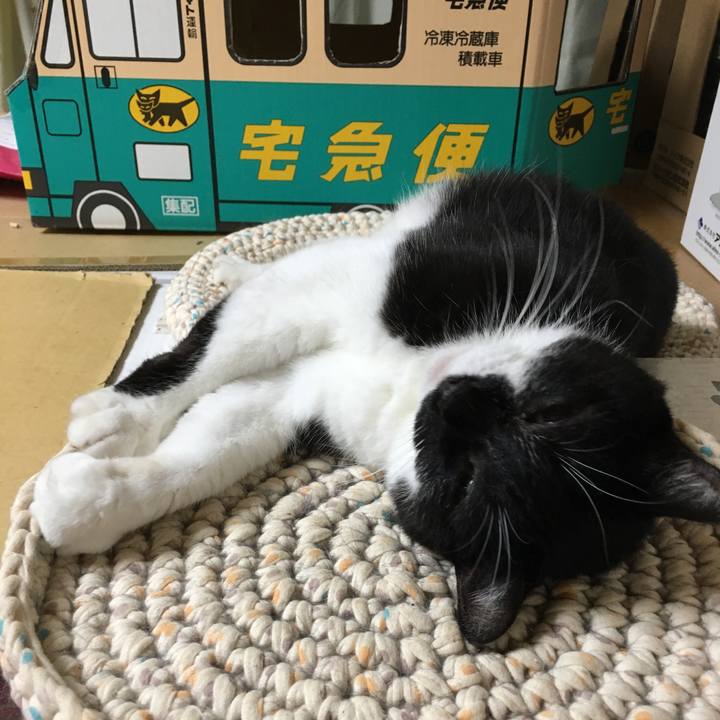 44481898 4472 45f0 9b51 36238109ccf7 1568805928656