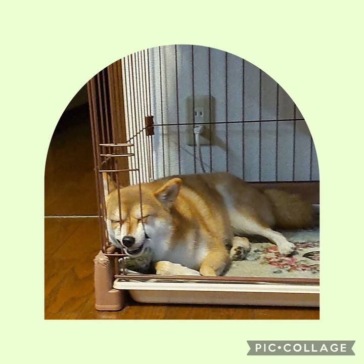 44481dc7 965d 4f57 bab6 28a8c66585b0 1727566908374