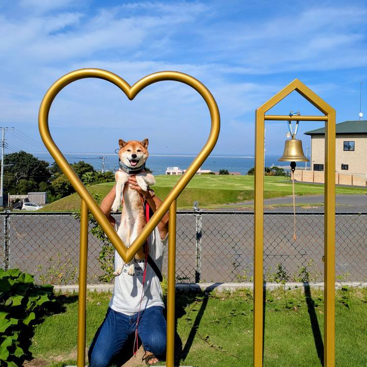 44484643 a269 4fe6 b832 d21600808b25 1757419832434