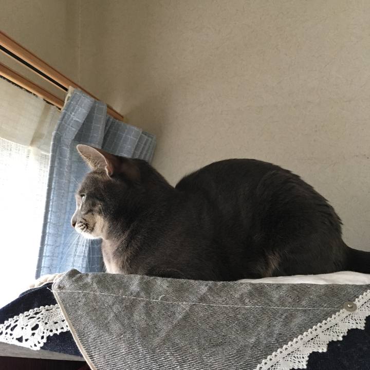 444874e9 b486 4996 9d7c ec31026a34c8 1518736830130