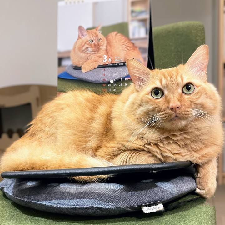 444875ce 1108 422b 842d ece64d1daff8 1773045227153