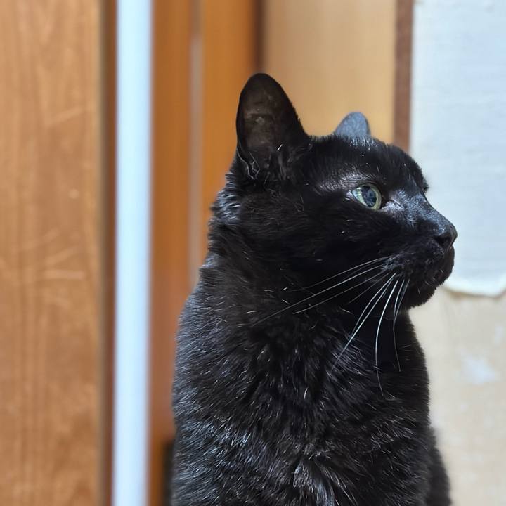 44489c82 8e58 48f1 9c87 adcad47b10a9 1681953690913