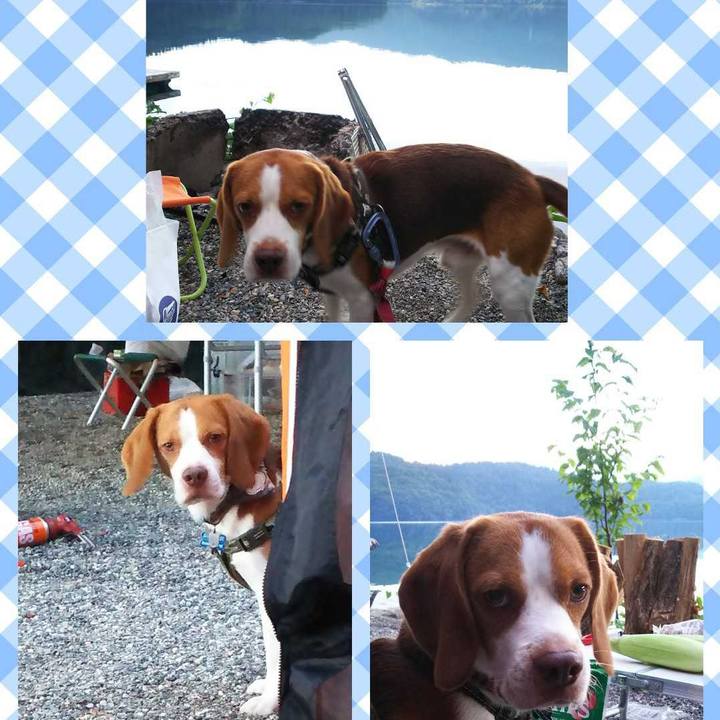 4448aad3 4511 4033 8cd5 c9e926393416 1568538063437