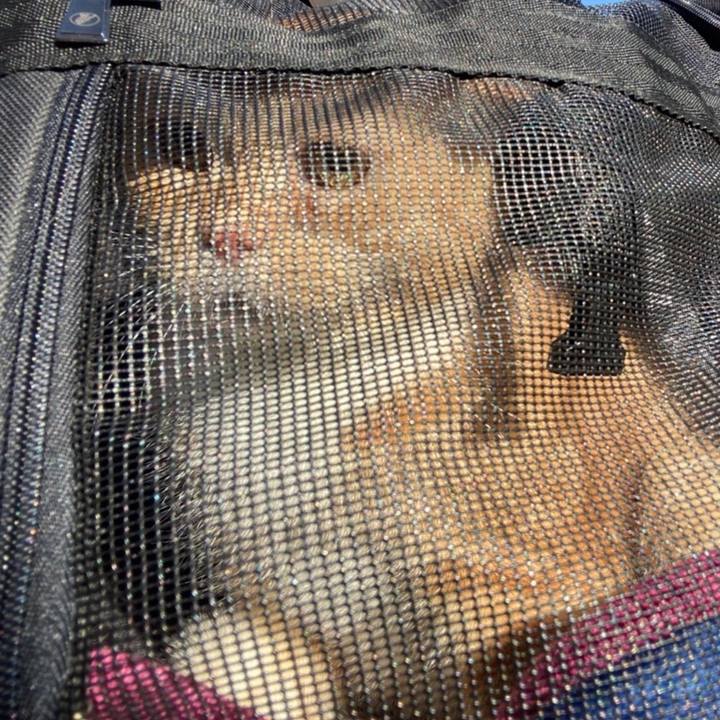 4448b35a 77a5 4d8c 874d 2a3e37ba042f 1635400682879