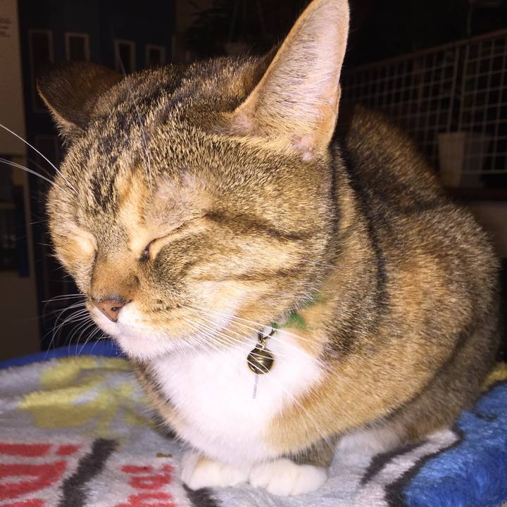 4448b41b 2759 475d 8236 e89daffd8ea0 1547738953072