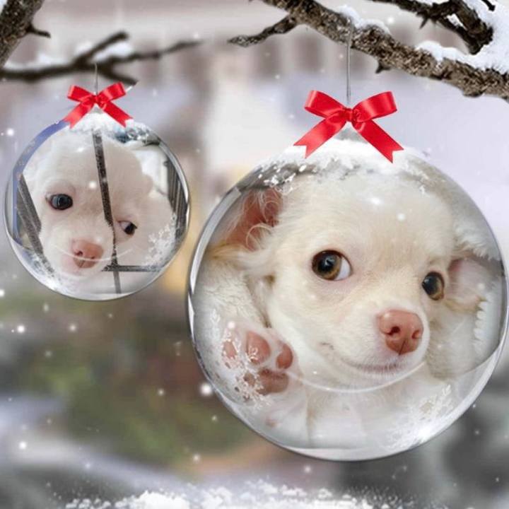 4448e667 d71e 418b 8483 7b47fb1be3d7 1608189494757