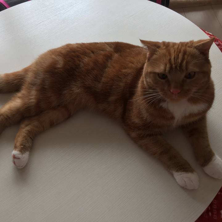 44494059 75da 46b2 9ef3 ee5994bcea07 1527637395949