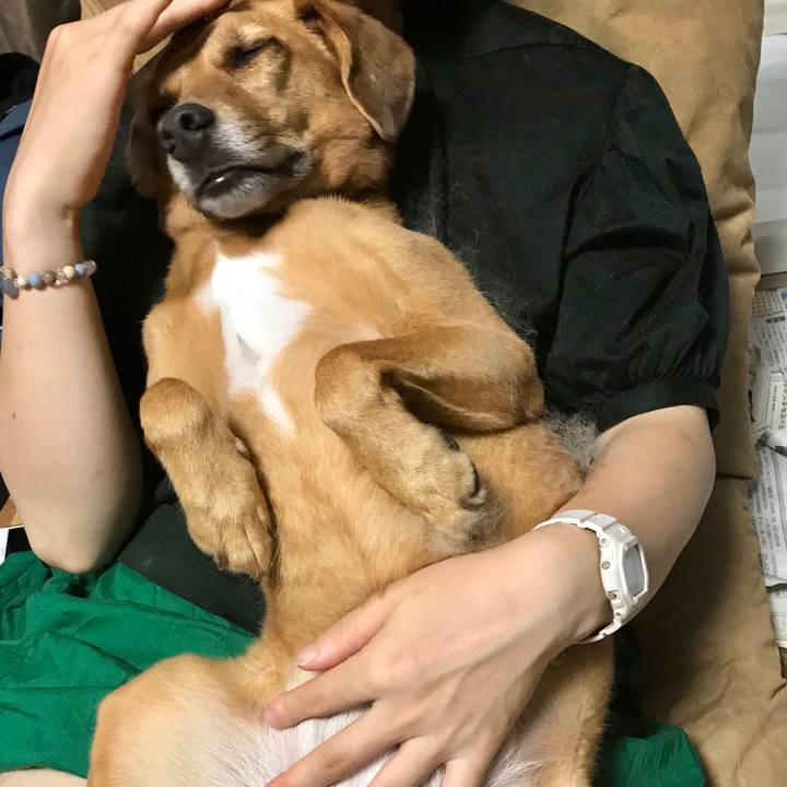 444943f9 06c0 407a b210 d52c43822de7 1536239947153