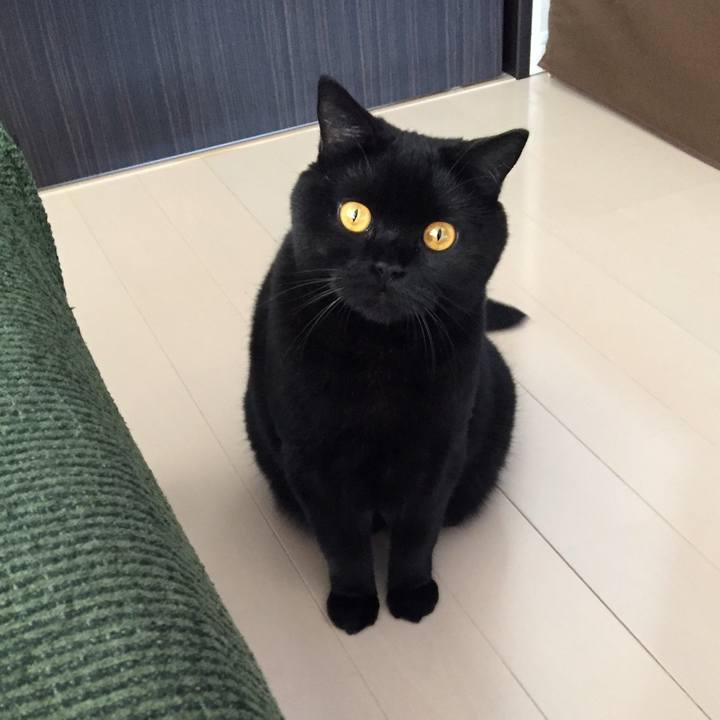 444977d3 66de 419a a506 a0b28ca16385 1567205240402