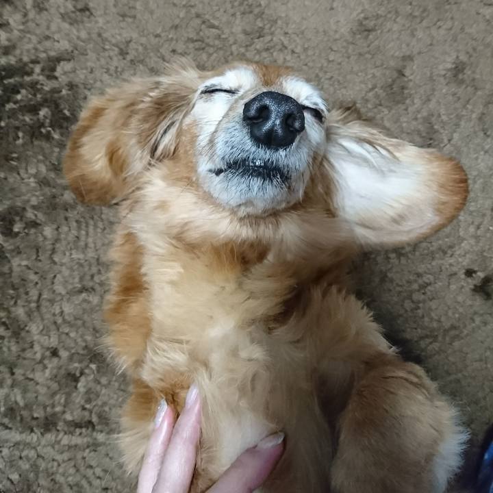 4449b0cb 630a 4794 93db 1f6d00198042 1514824648271