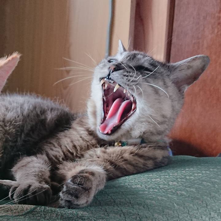 4449e9f0 ffda 42b5 8dcb 36ec4c1a5491 1565937683630