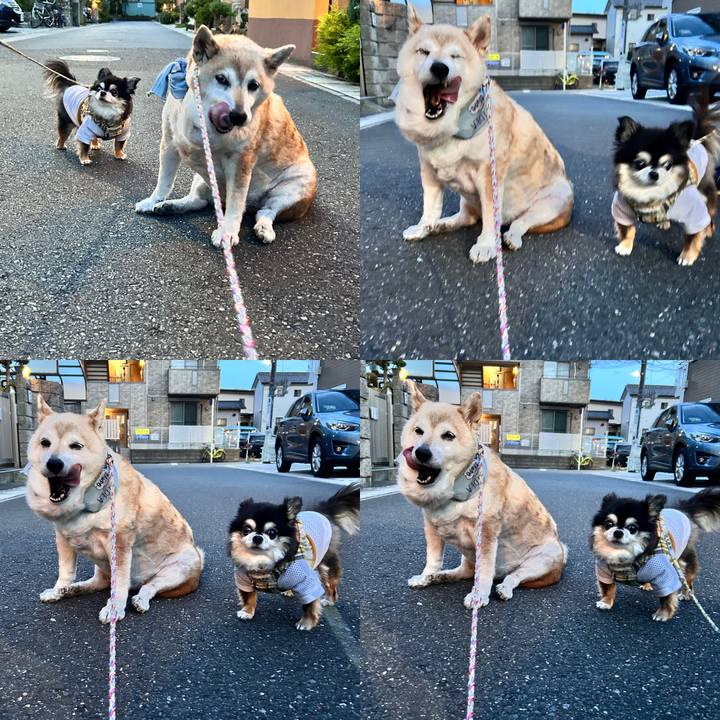 4449efa9 106a 4ee8 935a 35975cc3a5ed 1752490093461