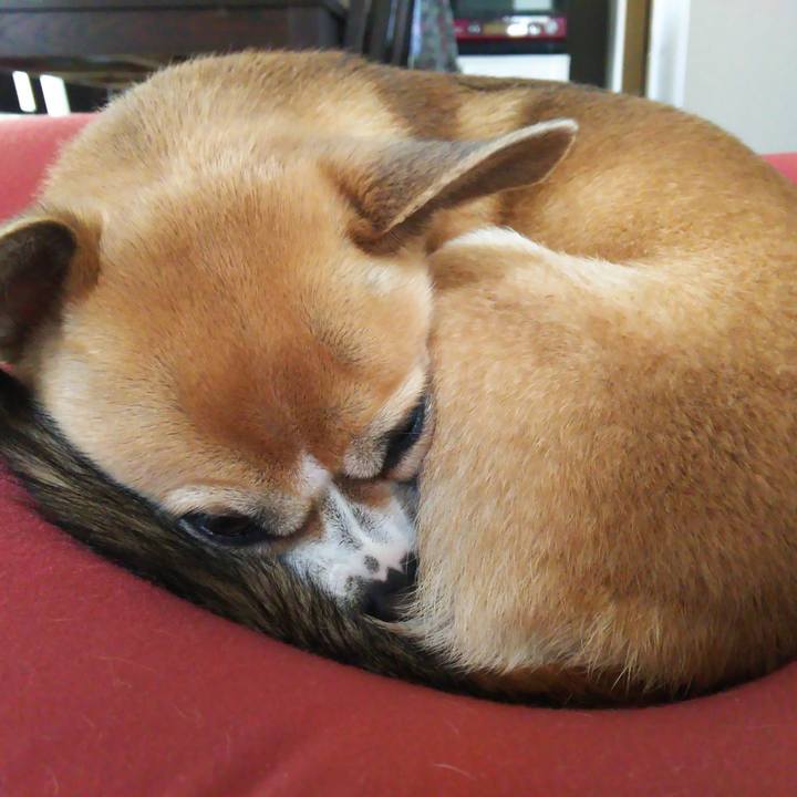 444a117e 41d0 4a84 85ce 5ddd0d2bfc43 1524475924519