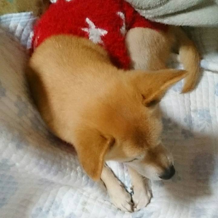 444a2df8 ad10 4885 ad6a 54828a27cbc0 1513861513386