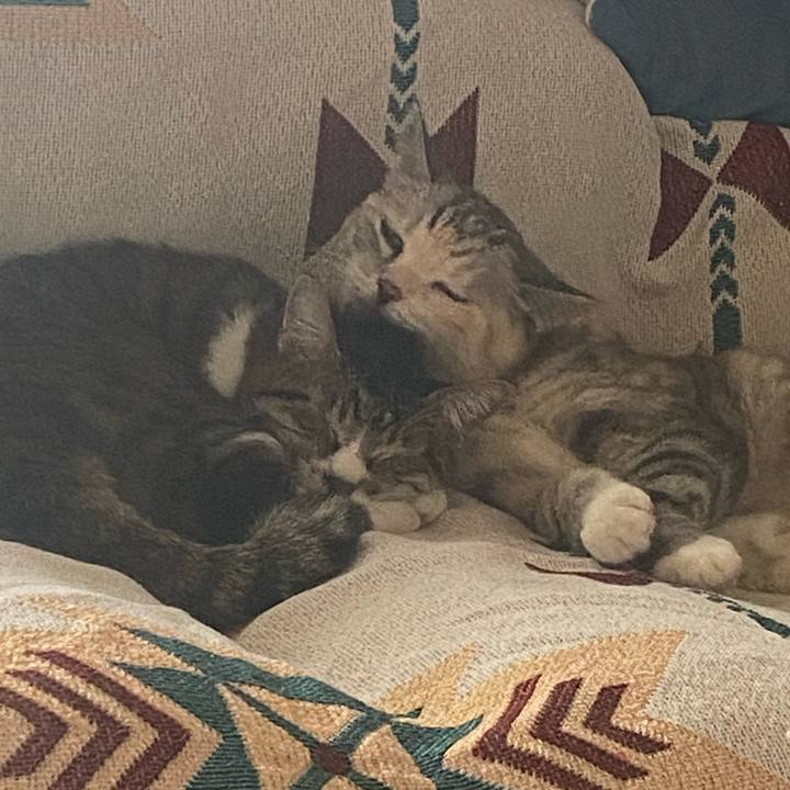 444a6e60 d91d 4501 b99f bb6e1a8e3ed9 1727053508430