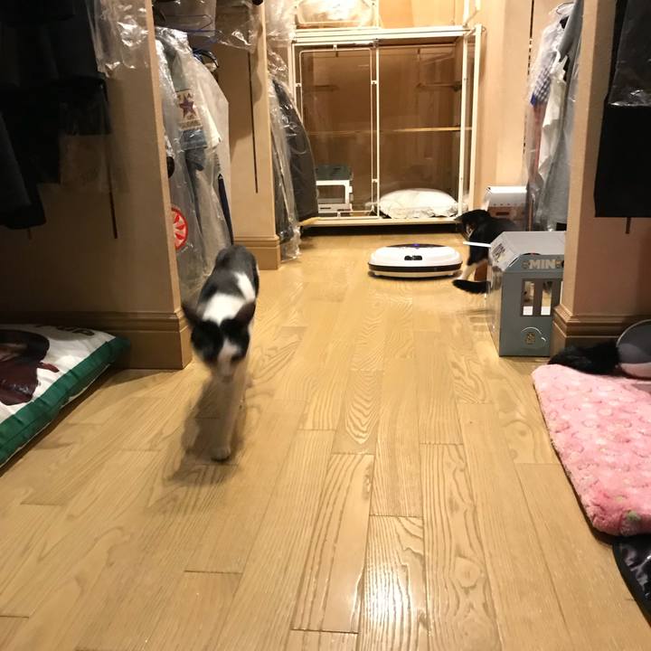 444a7b52 4fa3 424b 8823 0be1b8b2291e 1508594607837