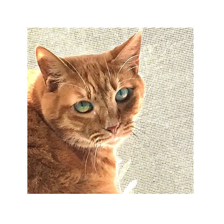 444a8ecb d2e2 4056 968f b6ced5c4a168 1632491298309