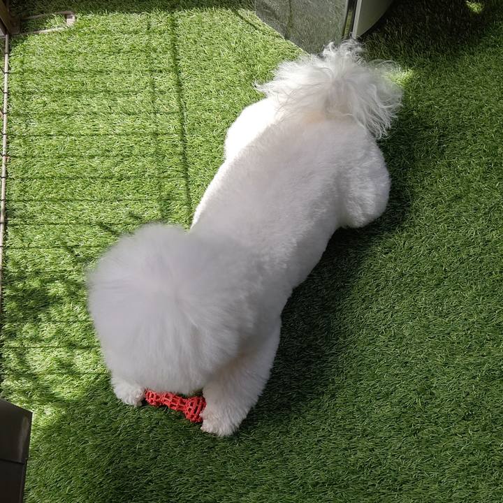 444aab5d 72ba 4d7f 9be5 68ad8c1284e9 1681710206379