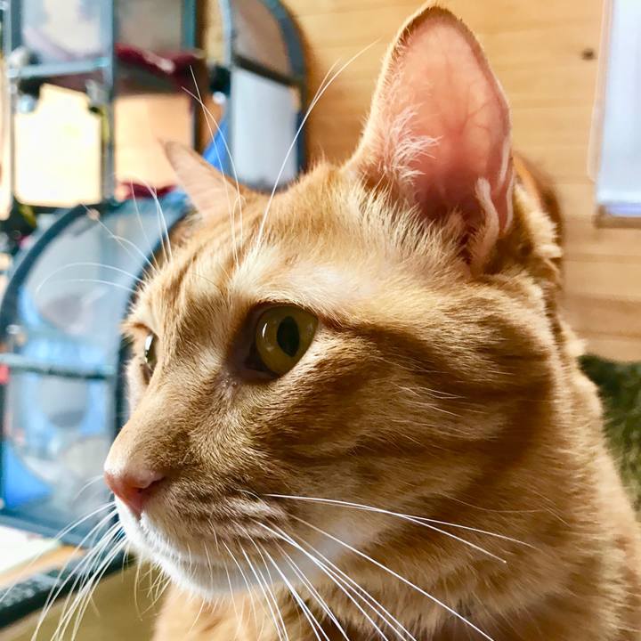 444ab7e4 cf74 42c5 8eaa 4ff54c5cca5f 1510366539409