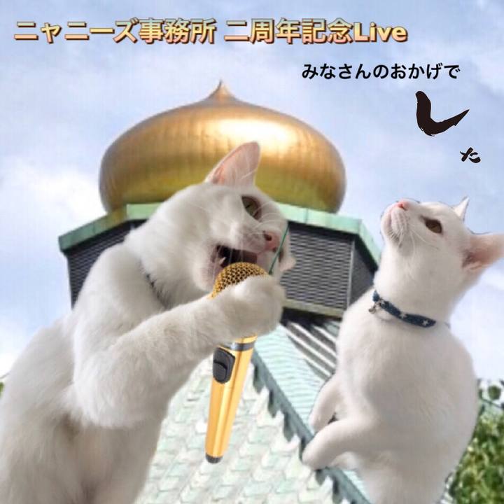 444abf04 4054 47c7 908e aa7576023955 1582714808419