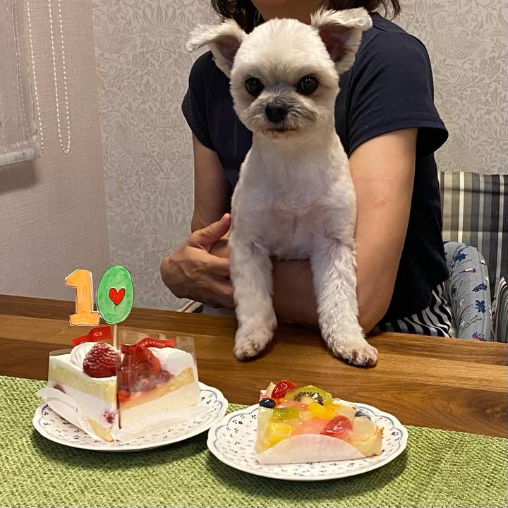 444ae9ec 2eb4 4594 9783 e79754904012 1753877648847