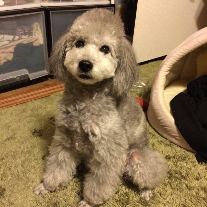 444b0e9c d321 4b84 a42d 3065eb94b493 1769645968183