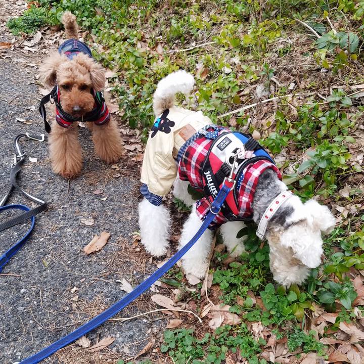 444b28d0 bd82 4e17 959c e565113281fd 1552949714192