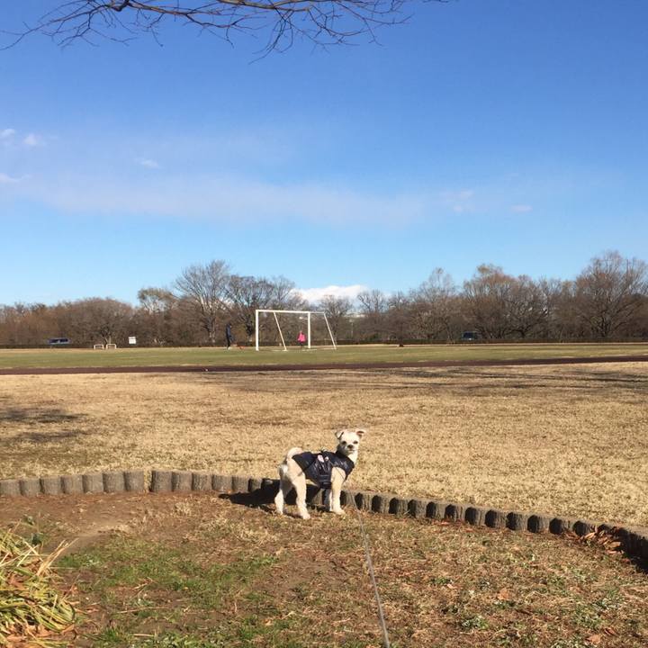 444b44ec 2d6d 495a b1b0 e68fb3e4343a 1546162809971