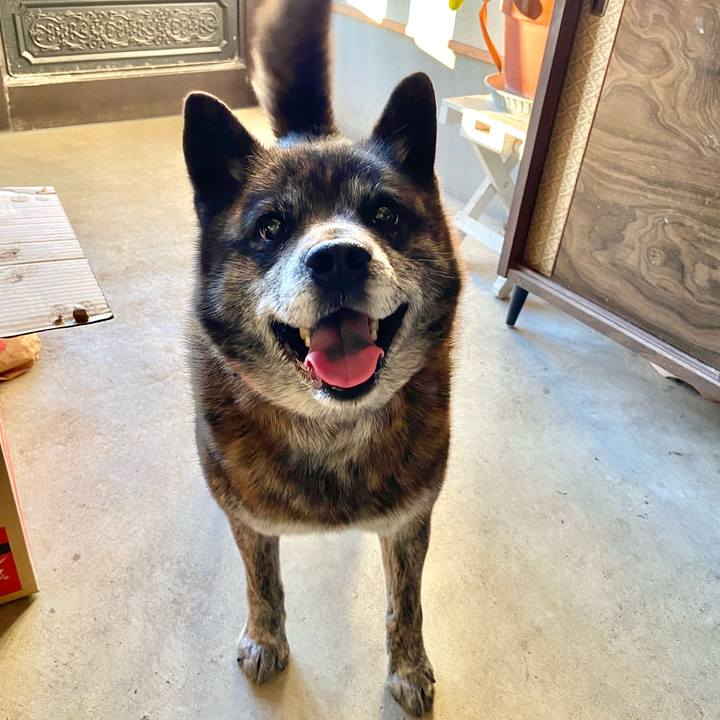 444b90d6 b9e3 4b30 a96e c35bcd3da37e 1618138106880