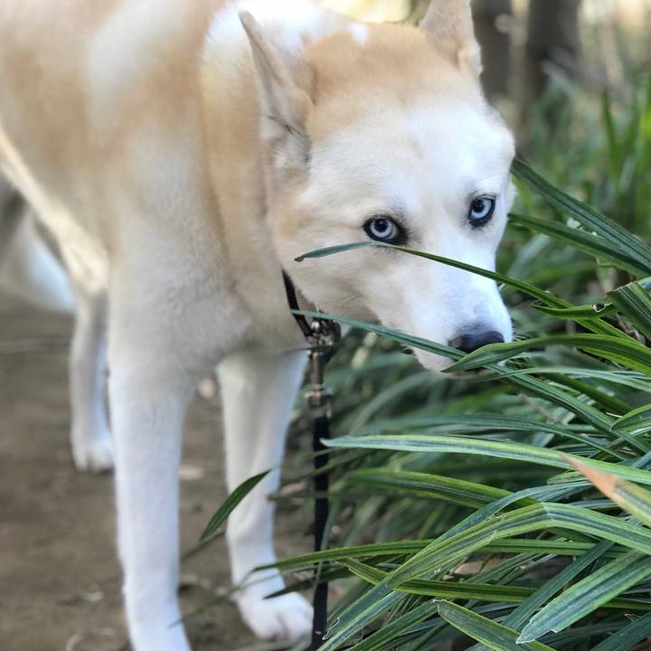 444bbb0b 5bf1 439c a3de 02ec3b6a7b45 1519098592274